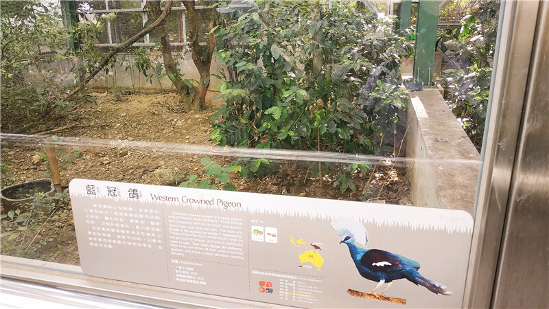 旅遊｜重新開張高雄壽山動物園一日遊  ，新建天空橋看水豚