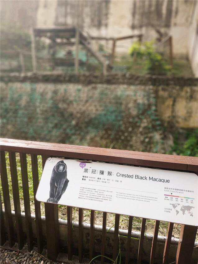 旅遊｜重新開張高雄壽山動物園一日遊  ，新建天空橋看水豚