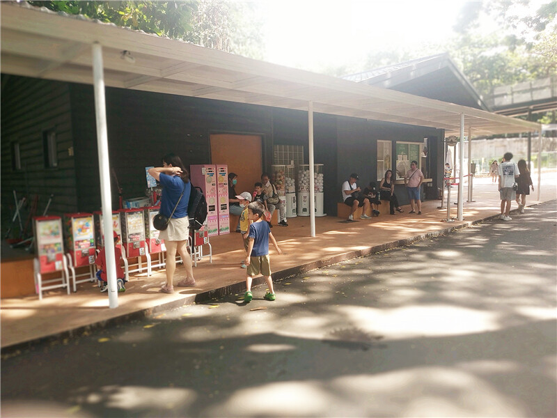 旅遊｜重新開張高雄壽山動物園一日遊  ，新建天空橋看水豚