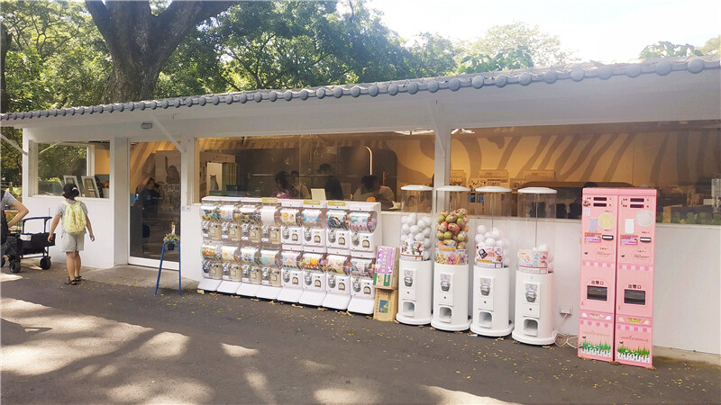 旅遊｜重新開張高雄壽山動物園一日遊  ，新建天空橋看水豚