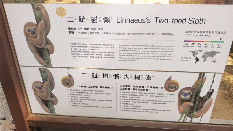 旅遊｜重新開張高雄壽山動物園一日遊  ，新建天空橋看水豚