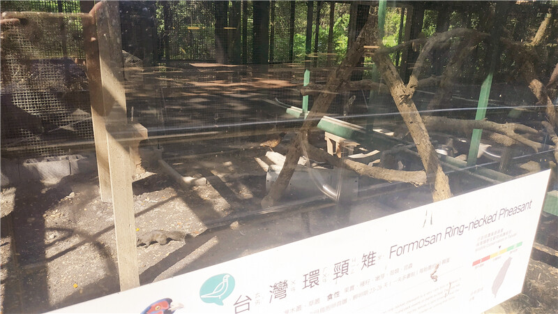 旅遊｜重新開張高雄壽山動物園一日遊  ，新建天空橋看水豚