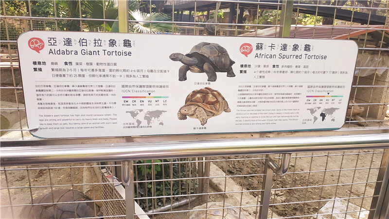 旅遊｜重新開張高雄壽山動物園一日遊  ，新建天空橋看水豚