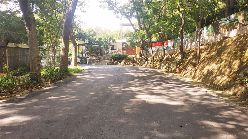 旅遊｜重新開張高雄壽山動物園一日遊  ，新建天空橋看水豚