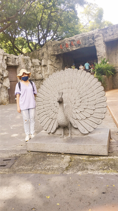 旅遊｜重新開張高雄壽山動物園一日遊  ，新建天空橋看水豚
