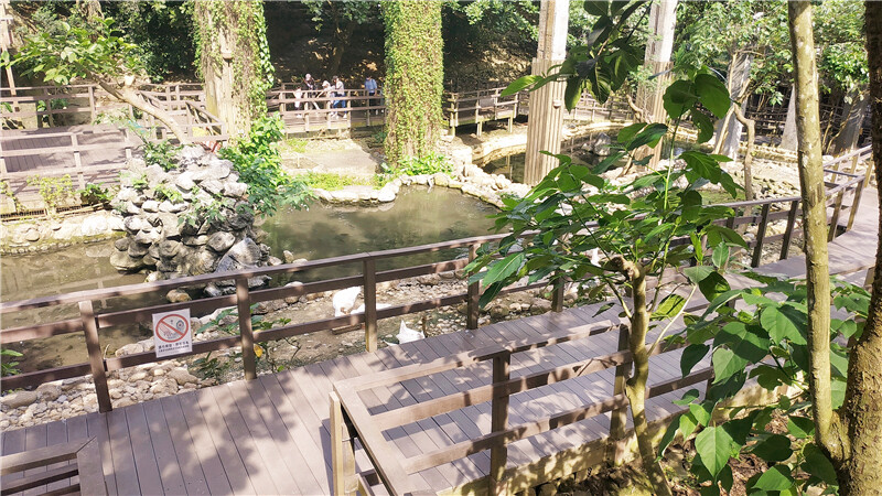 旅遊｜重新開張高雄壽山動物園一日遊  ，新建天空橋看水豚