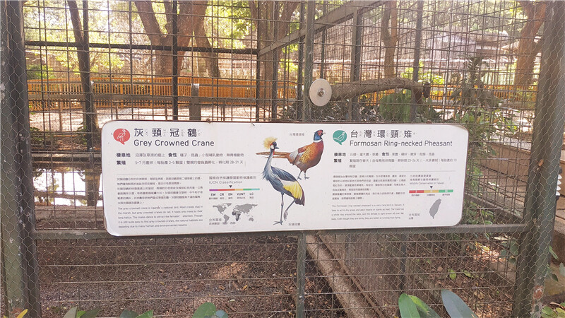 旅遊｜重新開張高雄壽山動物園一日遊  ，新建天空橋看水豚