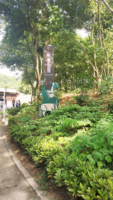 旅遊｜重新開張高雄壽山動物園一日遊  ，新建天空橋看水豚