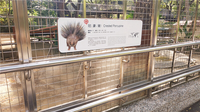 旅遊｜重新開張高雄壽山動物園一日遊  ，新建天空橋看水豚