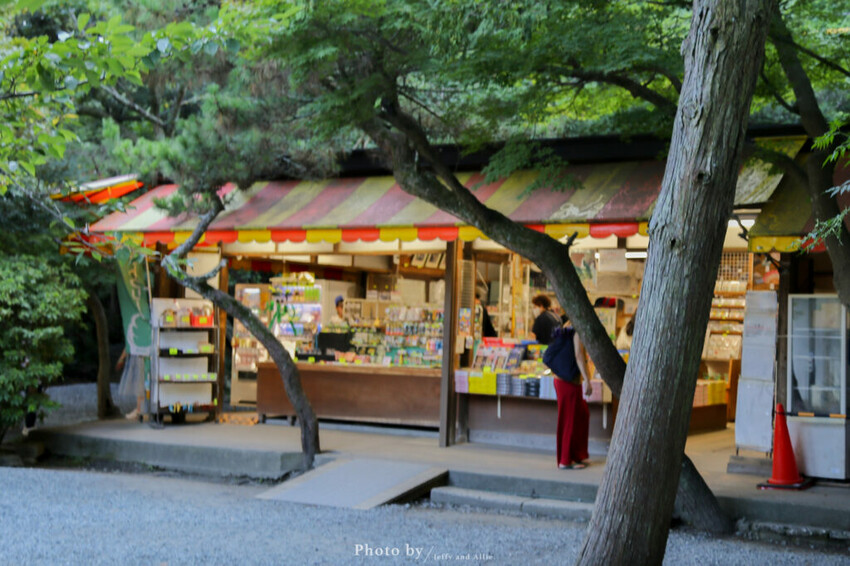 【鎌倉景點】鎌倉大佛高德院，歷史古蹟巡禮，日本第二大青銅佛像！（交通/門票/地圖）