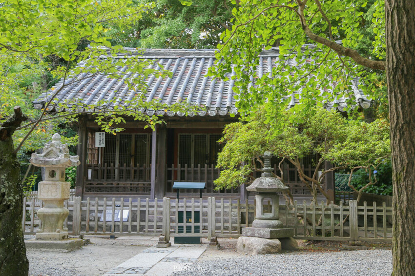 【鎌倉景點】鎌倉大佛高德院，歷史古蹟巡禮，日本第二大青銅佛像！（交通/門票/地圖）