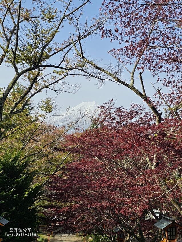 新倉山淺間公園｜忠靈塔 + 富士山 = 明信片般美景 . 若有滿滿的櫻花就更完美了 🌱豆芽出國趣日本