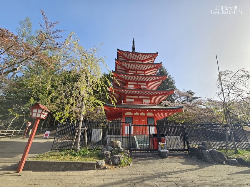 新倉山淺間公園｜忠靈塔 + 富士山 = 明信片般美景 . 若有滿滿的櫻花就更完美了 🌱豆芽出國趣日本