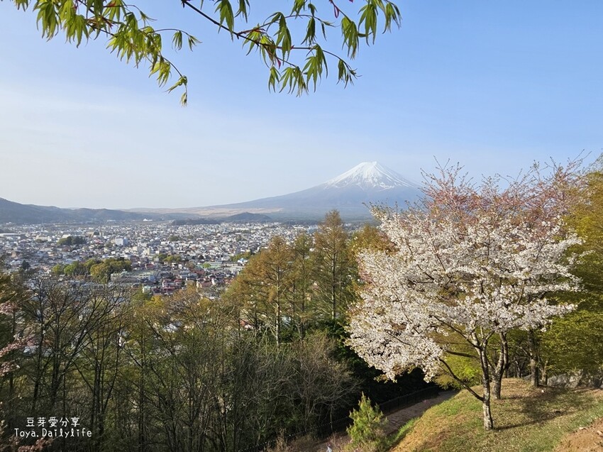 新倉山淺間公園｜忠靈塔 + 富士山 = 明信片般美景 . 若有滿滿的櫻花就更完美了 🌱豆芽出國趣日本