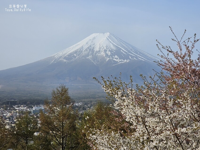 新倉山淺間公園｜忠靈塔 + 富士山 = 明信片般美景 . 若有滿滿的櫻花就更完美了 🌱豆芽出國趣日本