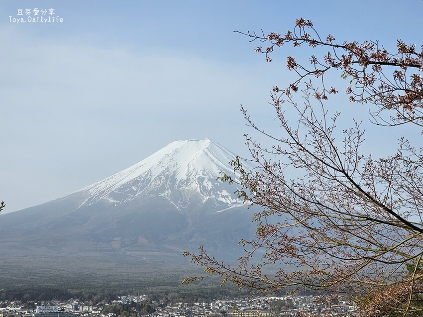 新倉山淺間公園｜忠靈塔 + 富士山 = 明信片般美景 . 若有滿滿的櫻花就更完美了 🌱豆芽出國趣日本