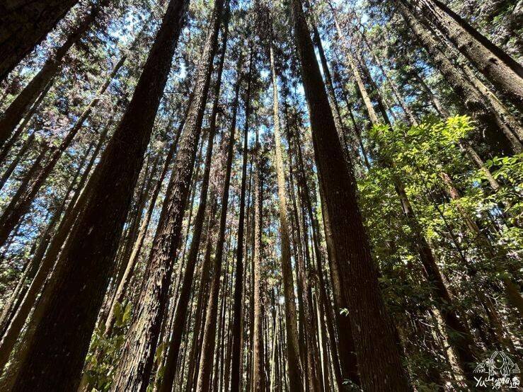 【台中登山步道】8台中步道推薦，山林田園瀑布雲海宛如仙境 - YU山海相遇