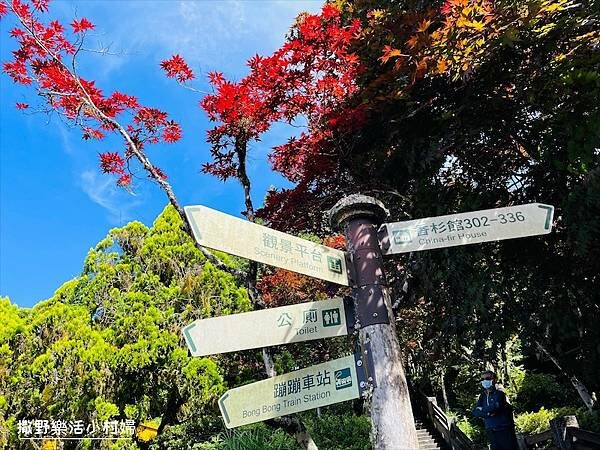與太平山美麗的邂垢｜觀景台欣賞絕美晨曦日出，太平山莊附近景點