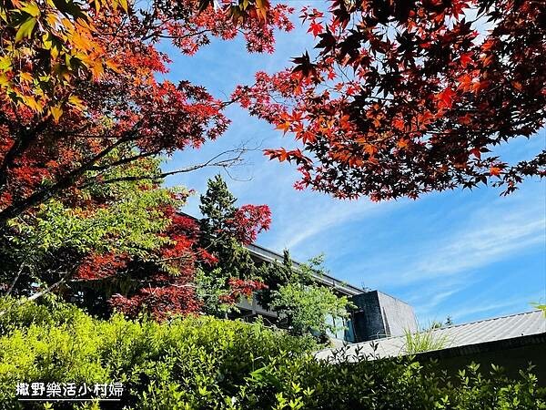 與太平山美麗的邂垢｜觀景台欣賞絕美晨曦日出，太平山莊附近景點