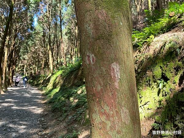 IMG_2720.JPG IMG_2720.JPG