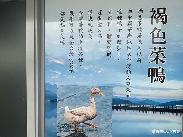 eZy Watermark_10-02-2023_06-07-28下午.JPG