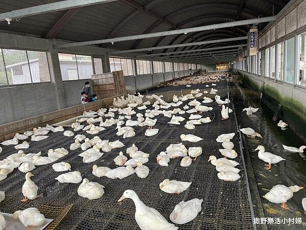 eZy Watermark_10-02-2023_06-08-14下午.JPG