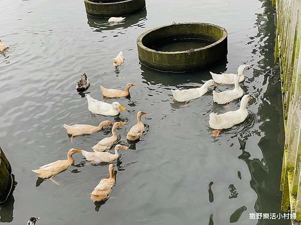 eZy Watermark_10-02-2023_06-07-26下午.JPG