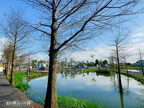 IMG_2975.JPG IMG_2975.JPG