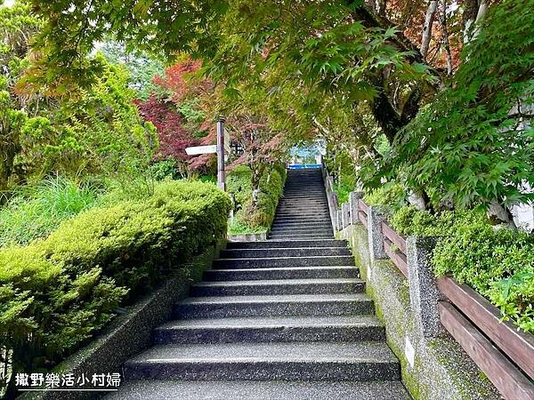 與太平山美麗的邂垢｜觀景台欣賞絕美晨曦日出，太平山莊附近景點