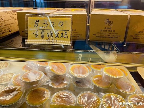 eZy Watermark_10-02-2023_06-01-15下午.JPG