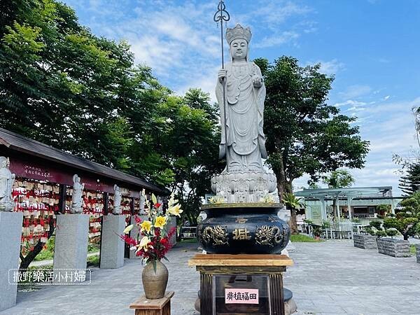 IMG_2910.jpg IMG_2910.jpg