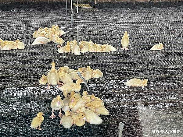 eZy Watermark_10-02-2023_06-07-29下午.JPG