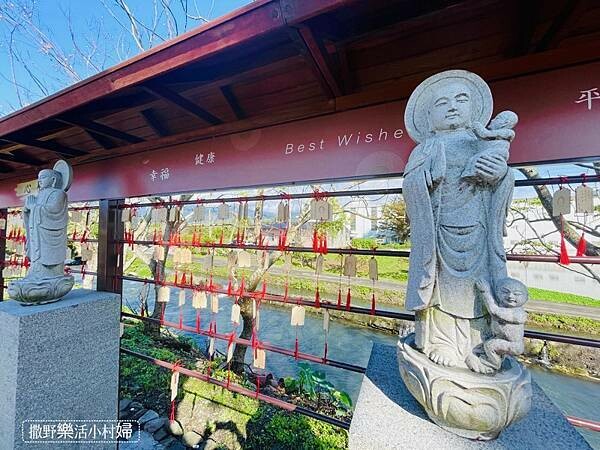 IMG_2966.jpg IMG_2966.jpg