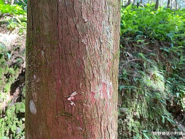 IMG_2719.JPG IMG_2719.JPG