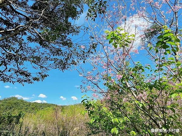 eZy Watermark_10-03-2023_09-44-15下午 (2).JPG eZy Watermark_10-03-2023_09-44-15下午 (2).JPG