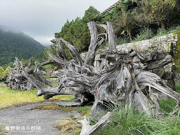 與太平山美麗的邂垢｜觀景台欣賞絕美晨曦日出，太平山莊附近景點