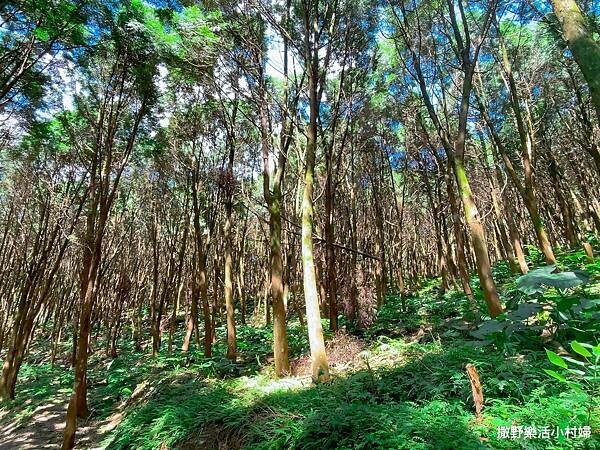 eZy Watermark_10-03-2023_09-30-05下午.JPG eZy Watermark_10-03-2023_09-30-05下午.JPG