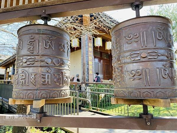 IMG_2919.jpg IMG_2919.jpg