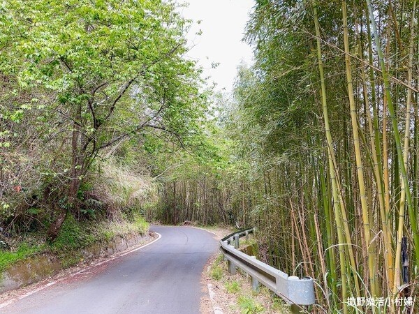 eZy Watermark_18-03-2023_09-19-30下午.jpg