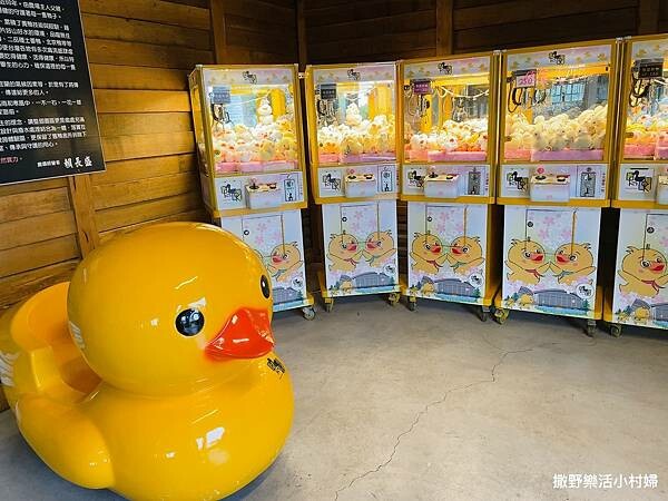 eZy Watermark_10-02-2023_06-05-29下午.JPG