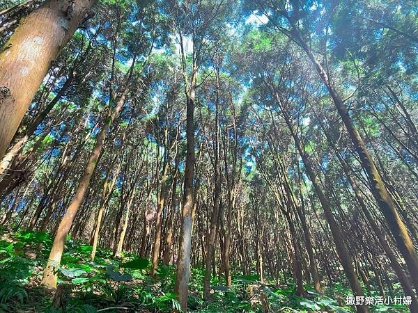 eZy Watermark_10-03-2023_09-30-05下午 (2).JPG eZy Watermark_10-03-2023_09-30-05下午 (2).JPG