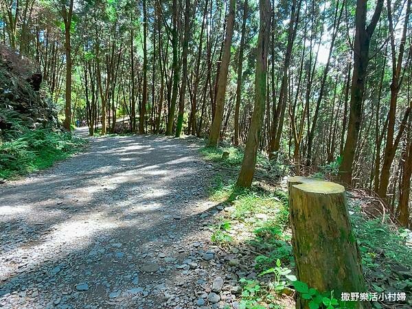 eZy Watermark_10-03-2023_09-32-00下午 (2).JPG eZy Watermark_10-03-2023_09-32-00下午 (2).JPG