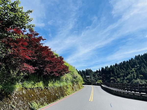 與太平山美麗的邂垢｜觀景台欣賞絕美晨曦日出，太平山莊附近景點
