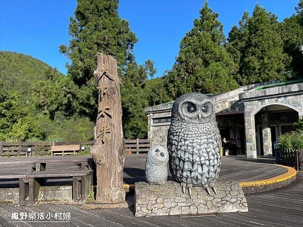 與太平山美麗的邂垢｜觀景台欣賞絕美晨曦日出，太平山莊附近景點