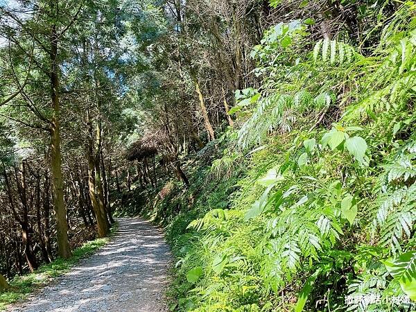 eZy Watermark_10-03-2023_09-43-07下午.JPG eZy Watermark_10-03-2023_09-43-07下午.JPG