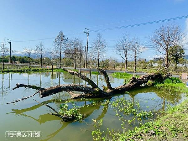 IMG_2974.JPG IMG_2974.JPG