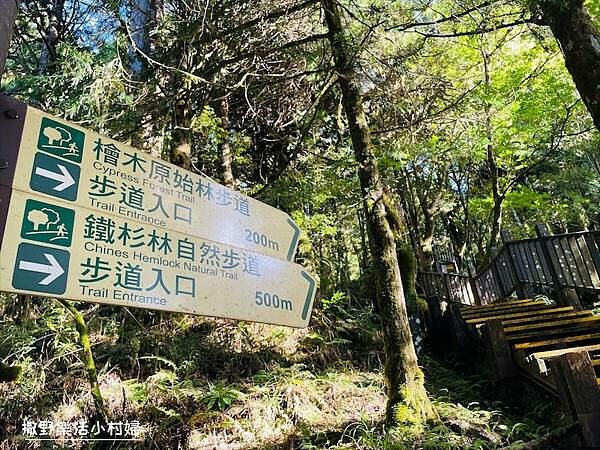 與太平山美麗的邂垢｜觀景台欣賞絕美晨曦日出，太平山莊附近景點