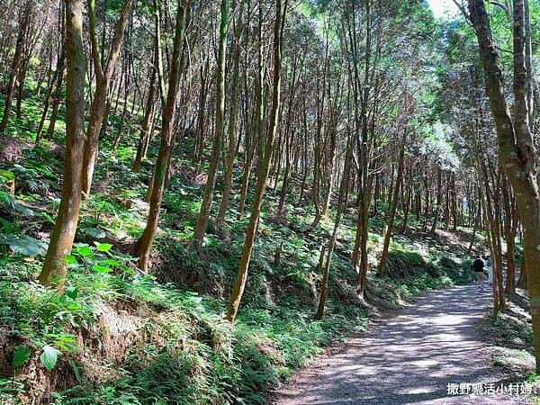 eZy Watermark_10-03-2023_09-30-05下午 (1).JPG eZy Watermark_10-03-2023_09-30-05下午 (1).JPG