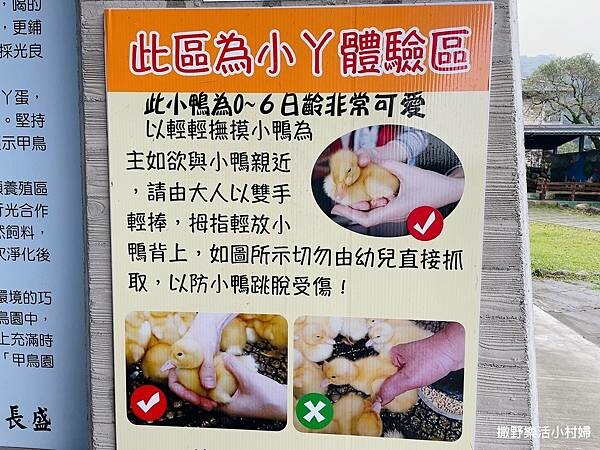 eZy Watermark_10-02-2023_06-04-35下午.JPG