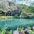 宜蘭景點》炎炎夏季戲水好所在，終年20度C天然湧泉【螃蟹冒泡】乾淨清涼又免費